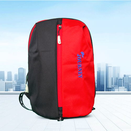 Stripelnc Exclusive Travel Backpack - Black & Red