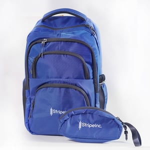 Stripelnc Exclusive & Premium Quality School Bag