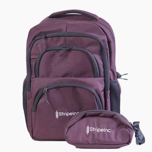 Stripelnc Exclusive & Premium Quality School Bag