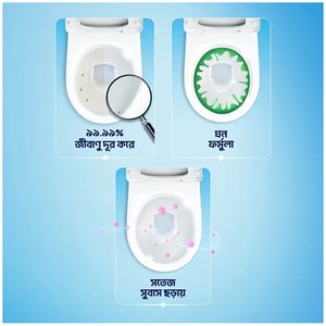 Domex Liquid Toilet Cleaner 750ml - Lime Fresh (Get Food Container Free)
