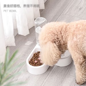 Automatic Water Bottle & Pet Bowl Set  (20213)