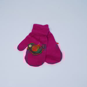Baby Cartoon Knitted Gloves For Winter - HG17