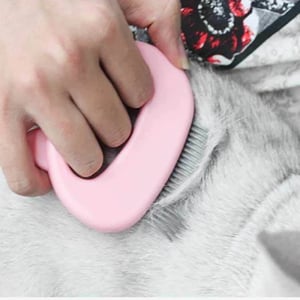 Cute Cat Head Design Cat Comb (20193)