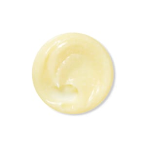 Eqqualberry Glow Filter Vitamin Illuminating Cream 50ml  •