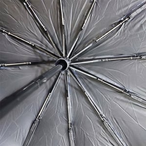 Souvenir Storm Blue Umbrella With Torch •