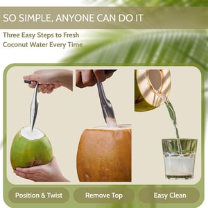 Coconut Opener Stainless Steel Knife