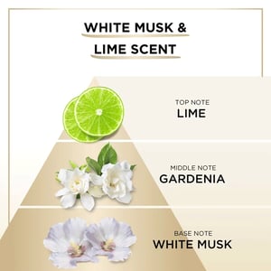 Pantene Miracles Bond Repair Mutenka & Gentle Repair Shampoo 440ml  •