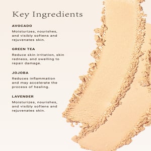 Absolute New York Velvet Focus Full Coverage Powder Foundation 6g - MFVF01 Fair Light Neutral