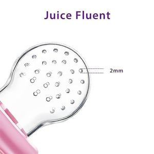 Baby Fruit & Vegetable Food Mesh Feeder - Pink