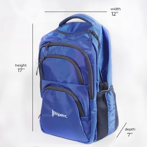 Stripelnc Exclusive & Premium Quality School Bag