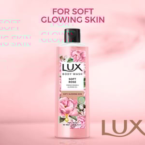 Buy 3 Lux Shower Gel Get 3 Loofa And Travel Bag Free (Black Orchid, Orange Blossom, French Rose)