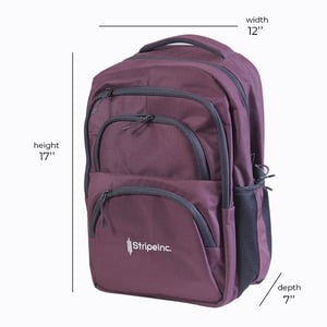 Stripelnc Exclusive & Premium Quality School Bag