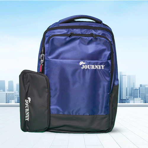 Stripelnc Journey Exclusive Backpack - Blue