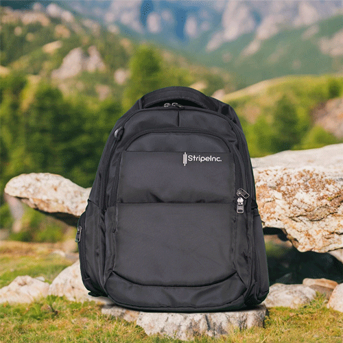 Stripelnc Exclusive School Backpack - Black