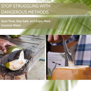 Coconut Opener Stainless Steel Knife