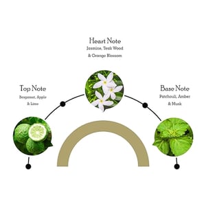 JAGUAR Classic Gold Eau De Toilette Vaporisateur Natural Spray 100ml•