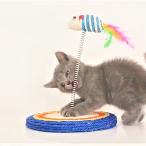 Spring Rat Sisal Cat Scratcher (20235)