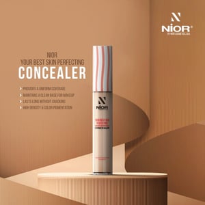 Nior Your Best Skin Perfecting Concealer 9.5g - Warm Vanilla