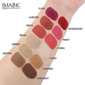 IMAGIC Multi Use Cream Foundation & Blush Palette