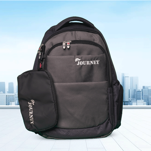 Stripelnc Journey Exclusive Backpack - Black & Gray