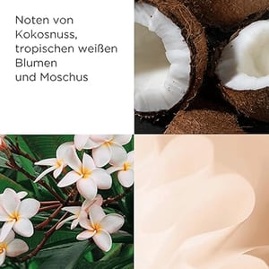 Elizabeth Arden Green Tea Coconut Breeze Eau de Toilette spray 100ml  •