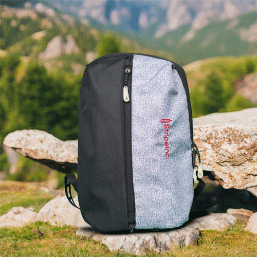 Stripelnc Exclusive Travel Backpack - Black & Grey
