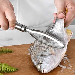 Stainless Steel Fish Scale Remover