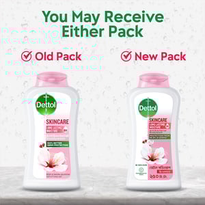 Dettol Skincare Long Lasting Moisture Bodywash 250ml (Free Loofah)