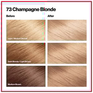 Revlon ColorSilk Beautiful 3D Hair Color - 73 Champagne Blonde  •