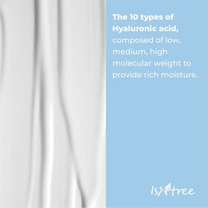 Isntree Hyaluronic Acid Moist Cream 100ml •