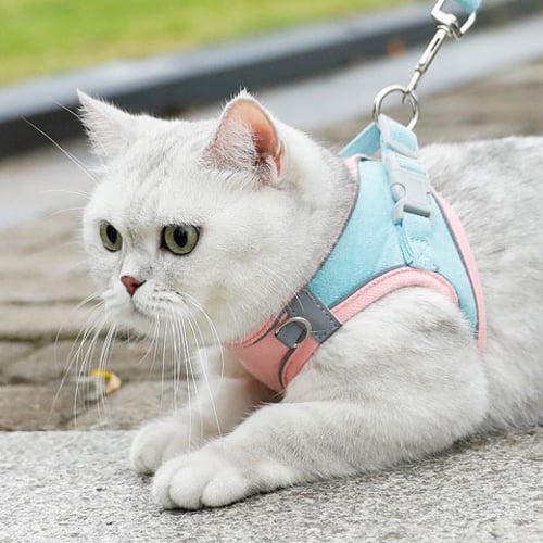 Meow Xinbao Reflective Cat Traction Rope - Medium