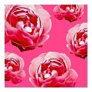 Herbal Essences Ignite My Colour Conditioner With Rose Essences 400ml