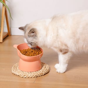 Pipitao Bear Head Plastic Cat Pet Bowl - Yellow