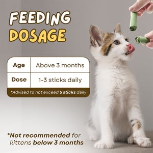 Cat Grass Teething Stick 6pcs Pack