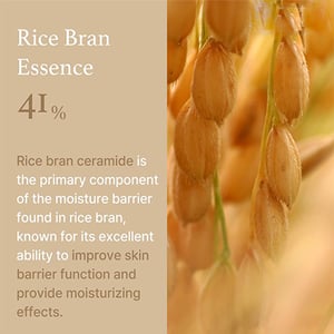 I'm From Rice Cream 50g •