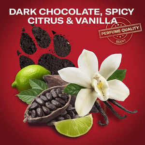 Old Spice Extra-XL Nightpanther Scent Of Citrus Vanilla 3 In 1 Body Hair Face Wash 1L •