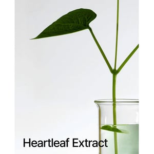 Anua Heartleaf 77% Soothing Toner 250ml •