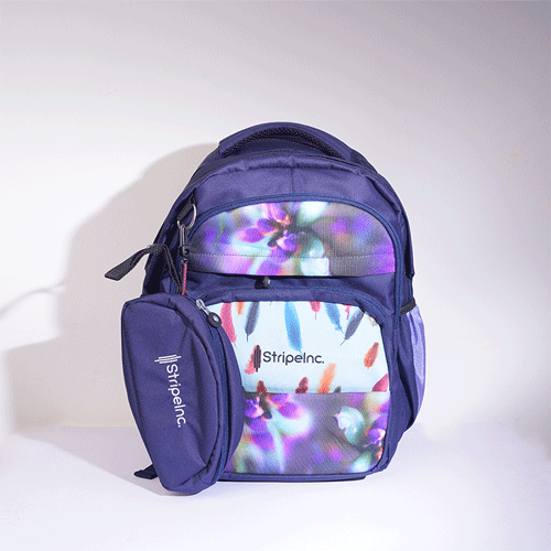 Stripelnc Exclusive School Backpack - Colourful Feather