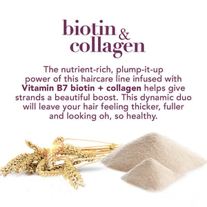 OGX Thick & Full + Biotin & Collagen Shampoo 385ml •