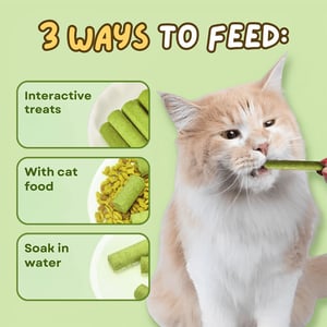 Cat Grass Teething Stick 6pcs Pack