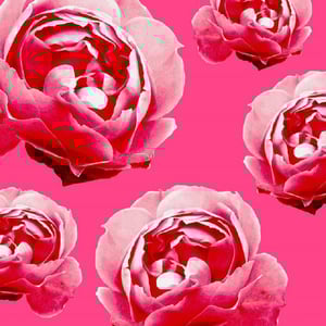 Herbal Essences Ignite My Colour Shampoo For Coloured Hair 400ml •