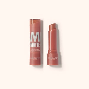 Absolute New York Mattifying Lipstick - MLAM02 Terracotta