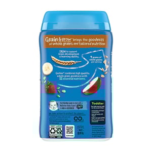 Gerber Hearty Bits Multigrain Banana Apple Strawberry Cereal (12+ months) 227g•