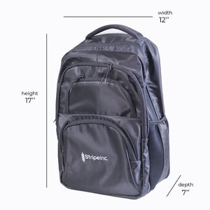 Stripelnc Exclusive & Premium Quality School Bag