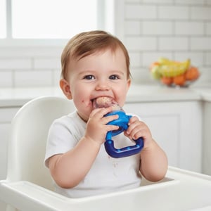 AVEAT Baby Fruit & Vegetable Food Mesh Feeder (6m-12m) - Blue