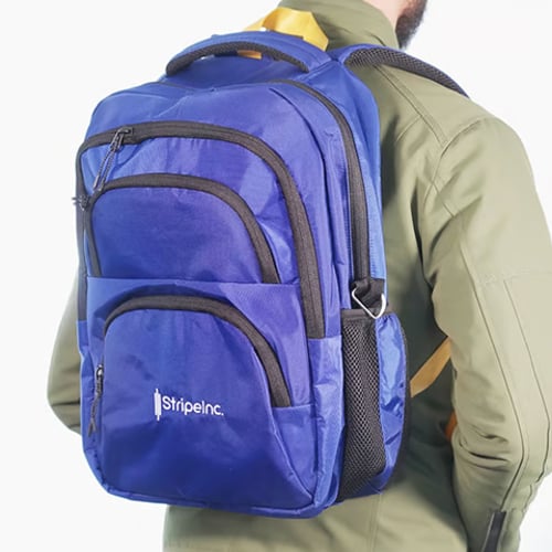 Stripelnc Exclusive & Premium Quality School Bag