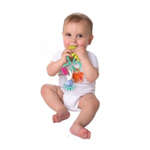 Playgro Twirly Whirl Rattle - 3m+