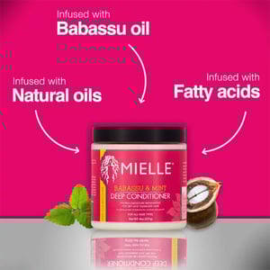 Mielle Babassu & Mint Deep Conditioner 227g•
