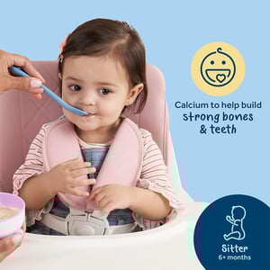 Gerber Grain & Grow Multigrain Cereal (6+months) 227gm•