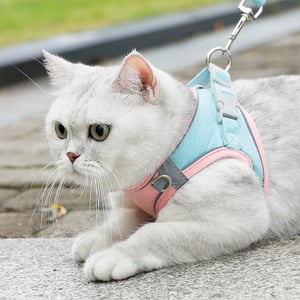 Meow Xinbao Reflective Cat Traction Rope - Medium